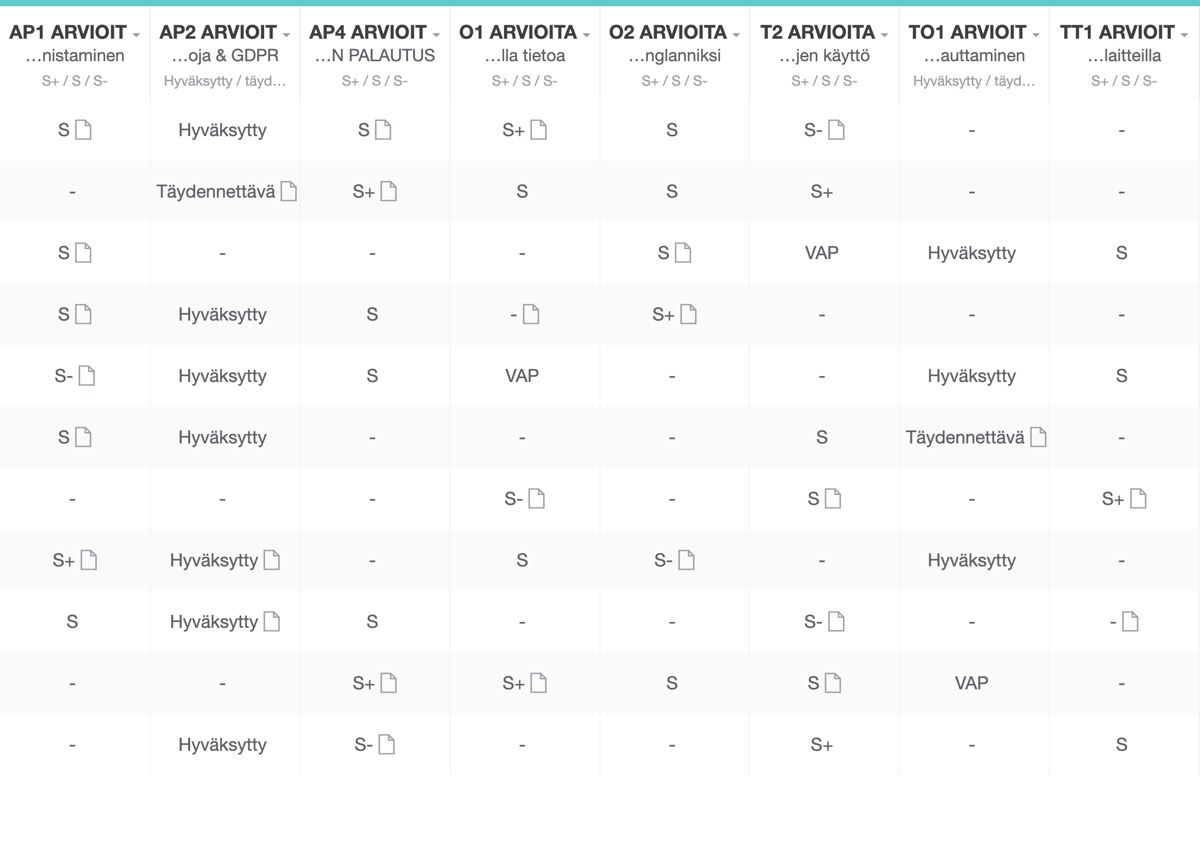 Havainnekuva itslearningin arviointimatriisista ilman korostusta